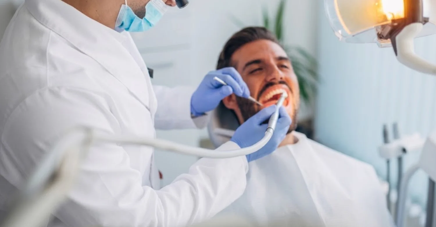 Rodent Borne Disease and Dental Health inblog